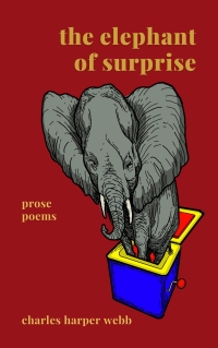 The Elephant of Surprise